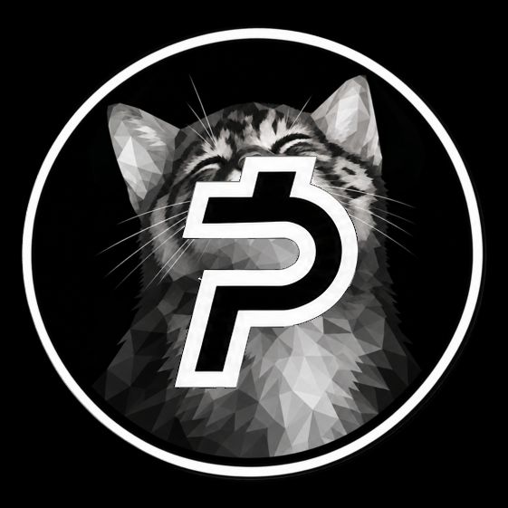 Smug silver tabby cat on the PAIDCATE coin